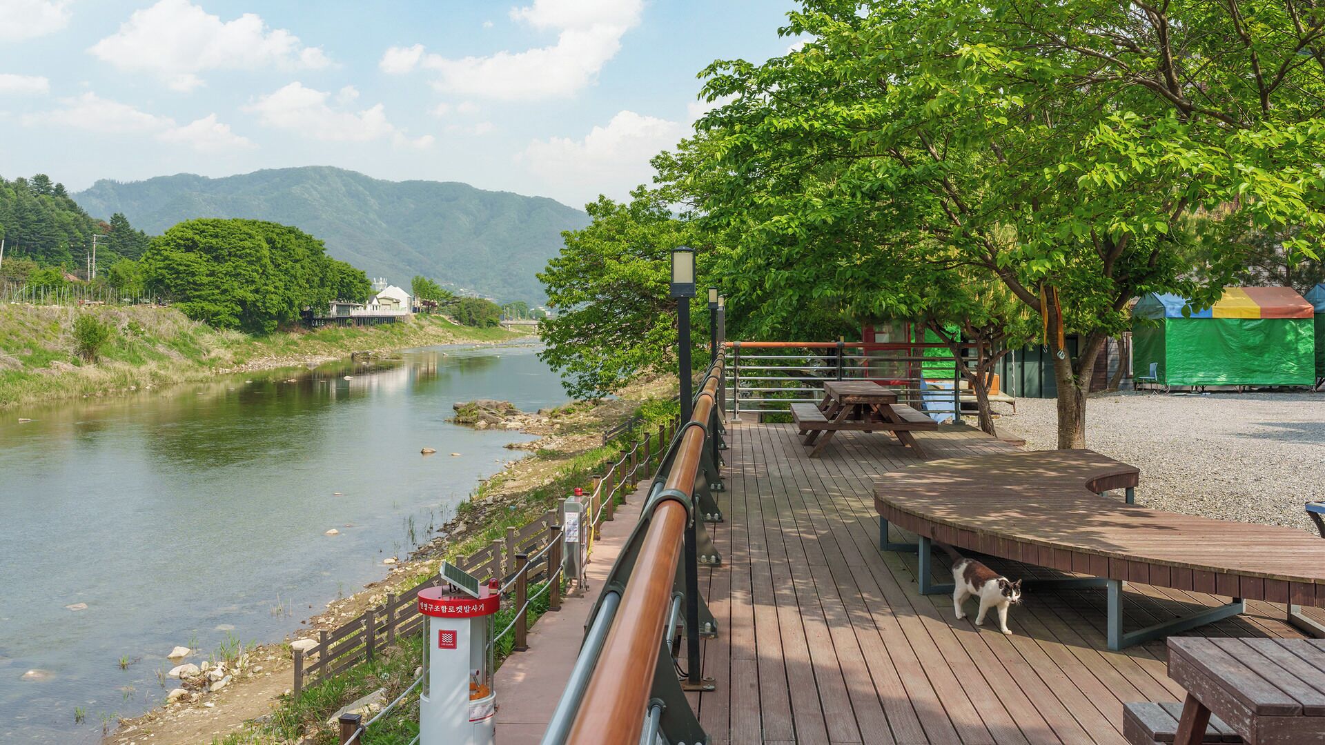 A riverside walkway with a wooden deck, picnic tables, and a railing.