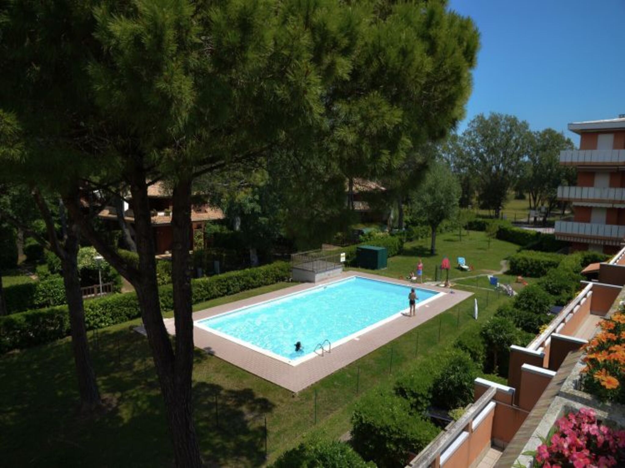 Une piscine entourée de verdure, avec un bâtiment en arrière-plan.