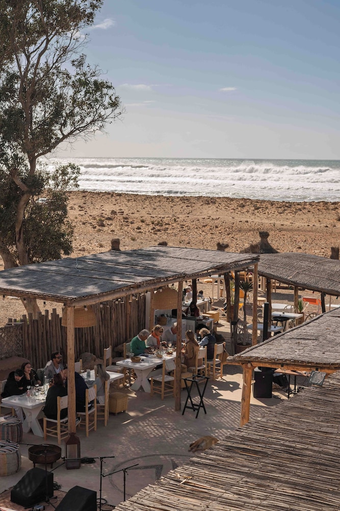 La Mouette et les Dromadaires by null