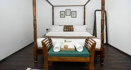 The Tiger Claws Tadoba