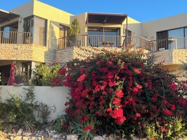 Casa, 3 quartos, para fumantes, piscina particular | Detalhe da fachada