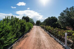 Property entrance - Villa Polignano con Piscina by Wonderful Italy (Polignano a Mare)