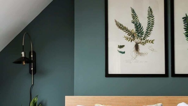 A bedroom with a bed, a nightstand with a potted plant, a wall-mounted lamp, and framed botanical prints.