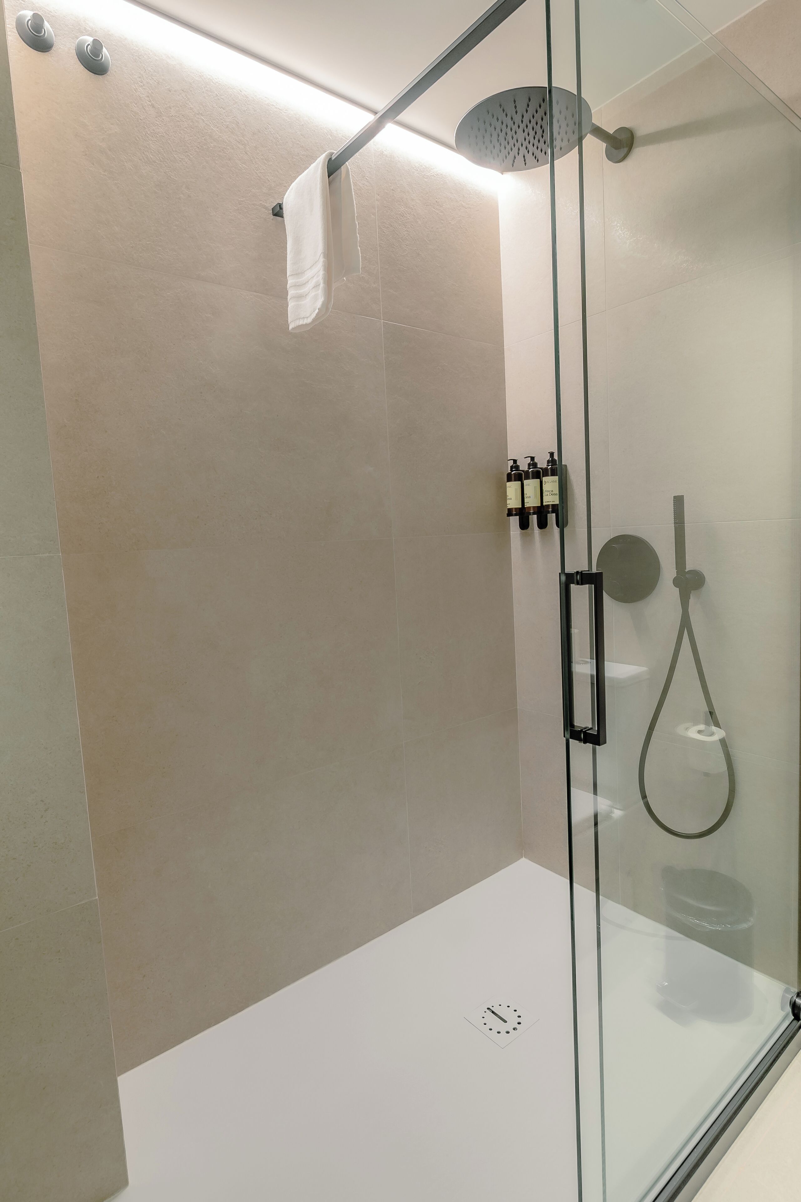 A modern shower with a glass enclosure, a handheld showerhead, and a handheld faucet.
