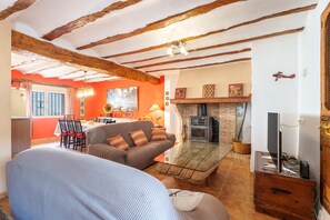 TV, fireplace, video games, DVD player