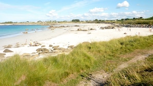 A beach with people, grassy dunes, and a clear sky.