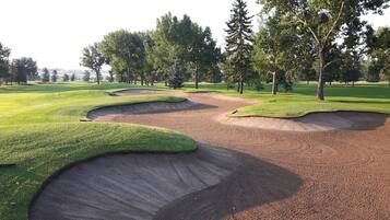 Play amidst lush green fairways and strategically placed sand bunkers.