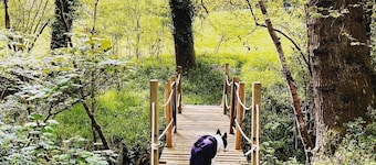 Little bridge Camp.
Secluded camping in 13 acres of magical meadow and woodland.