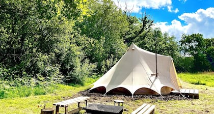 Little bridge Camp.
Secluded camping in 13 acres of magical meadow and woodland.