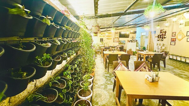 Een restaurant met een lange toonbank, meerdere tafels en een wand met potplanten.