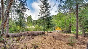 A forested area with a yellow building, logs, and a clear sky. - Cle Elum Cabin on the Yakima River! (Cle Elum)