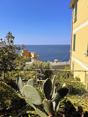 A building with a view of the sea, a cactus plant in the foreground, and a balcony railing.
