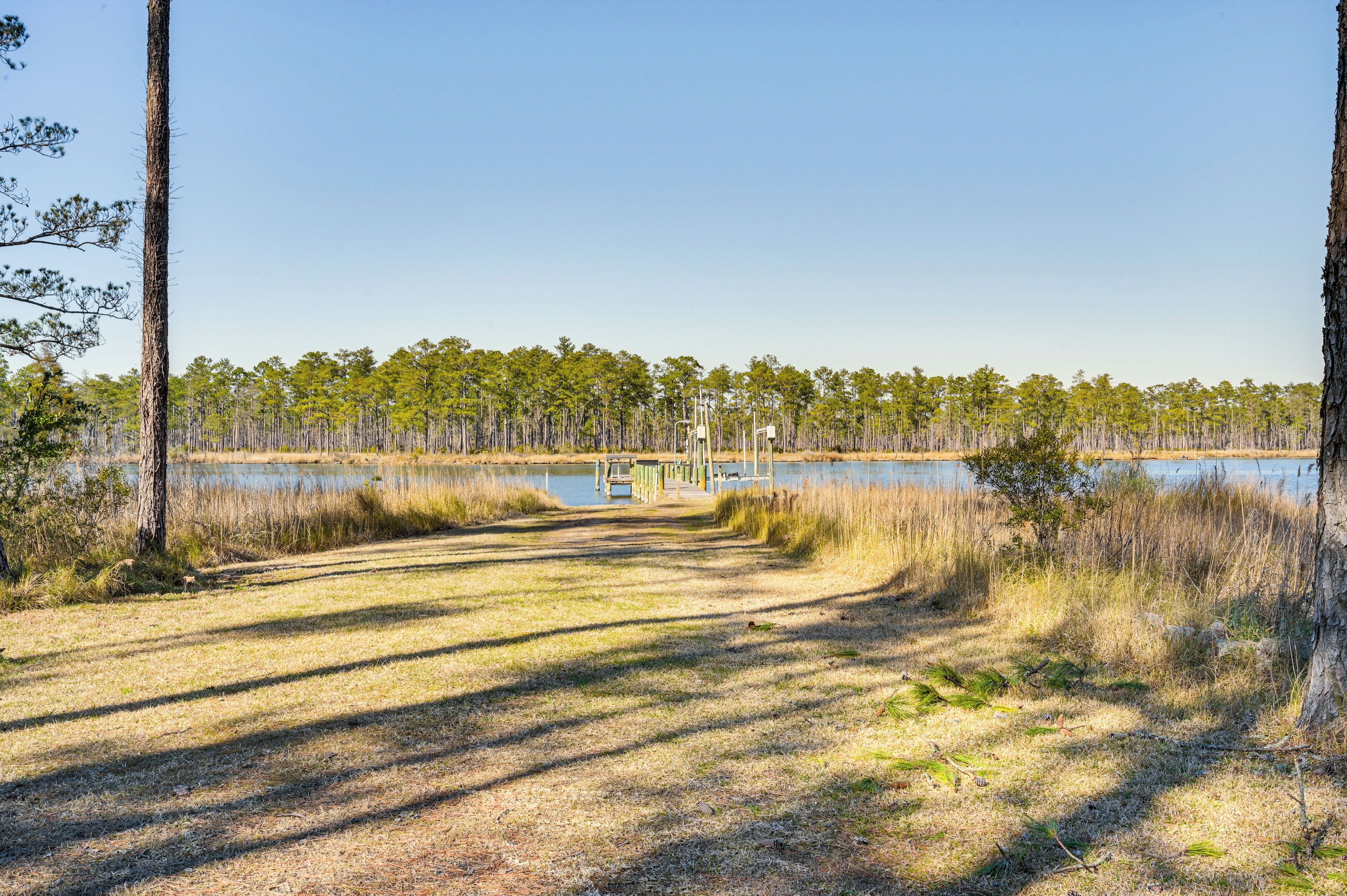 Un sendero que lleva a un muelle sobre un lago tranquilo, rodeado de árboles altos y zonas verdes.