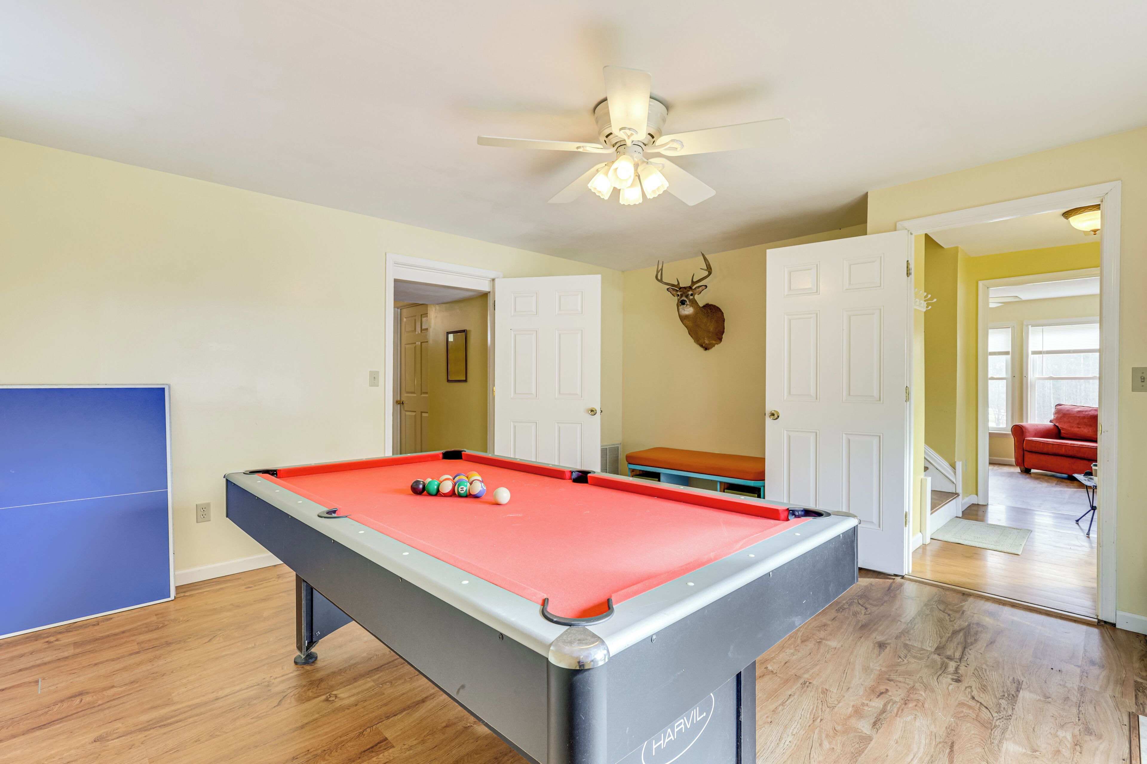 A pool table with balls, a ceiling fan, and a deer head mounted on the wall.