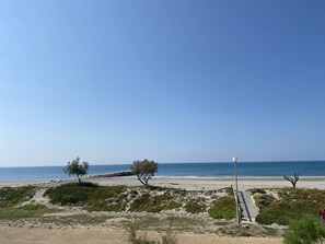 Playa en los alrededores 