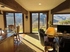 TV, fireplace, books, offices