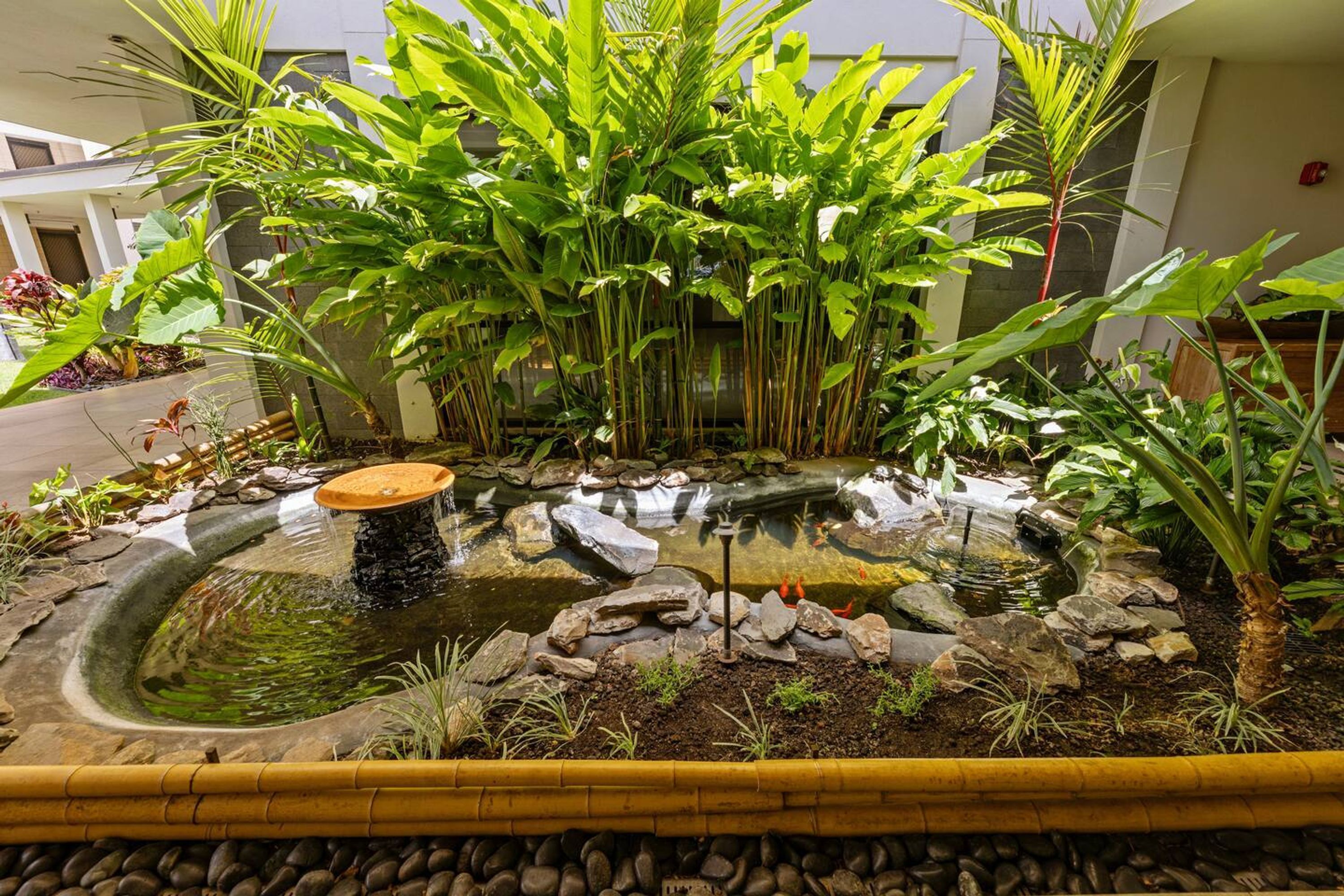 1 habitación y acceso a internet 