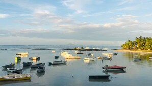 Un puerto tranquilo con numerosas embarcaciones pequeñas ancladas en el agua, una playa de arena y una hilera de palmeras al fondo.