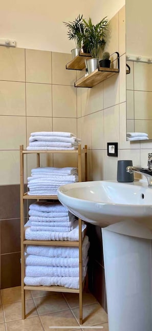 Shower, hair dryer, bidet, towels