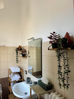 Regadera, secadora de cabello, bidet, toallas 