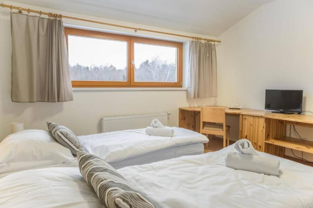 Une chambre avec deux lits, un bureau, une chaise, une télévision et une fenêtre avec des rideaux.