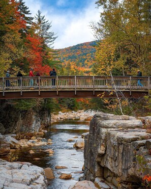 House, 4 Bedrooms | Miscellaneous - Scenic White Mountains Retreat 4 Bedroom Home (Thornton)