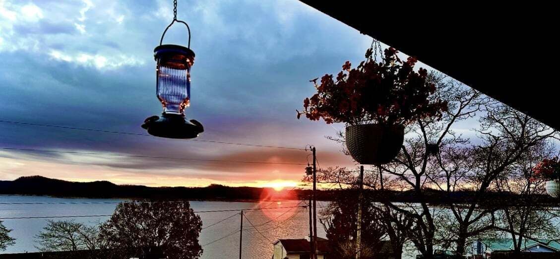 Un coucher de soleil sur une étendue d’eau, avec une lanterne suspendue et une plante en pot.
