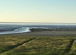 House | View from property - Cabin in Tzummarum With Pool and Tennis Court (Tzummarum)