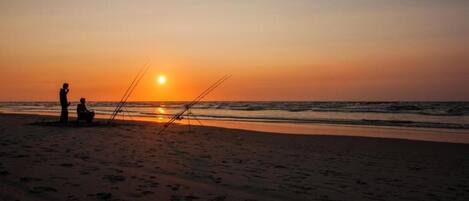 House | View from property