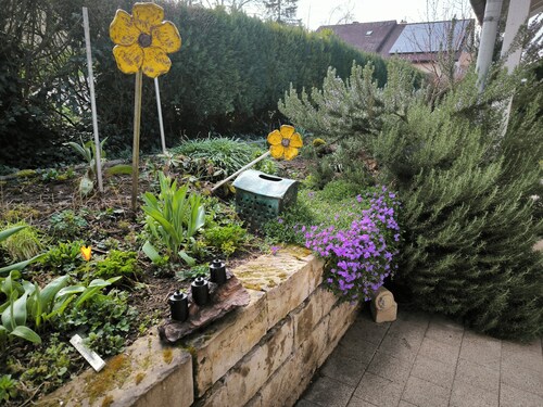 Spacious vacation apartment with vineyard view and terrace