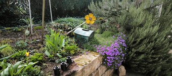 Spacious vacation apartment with vineyard view and terrace