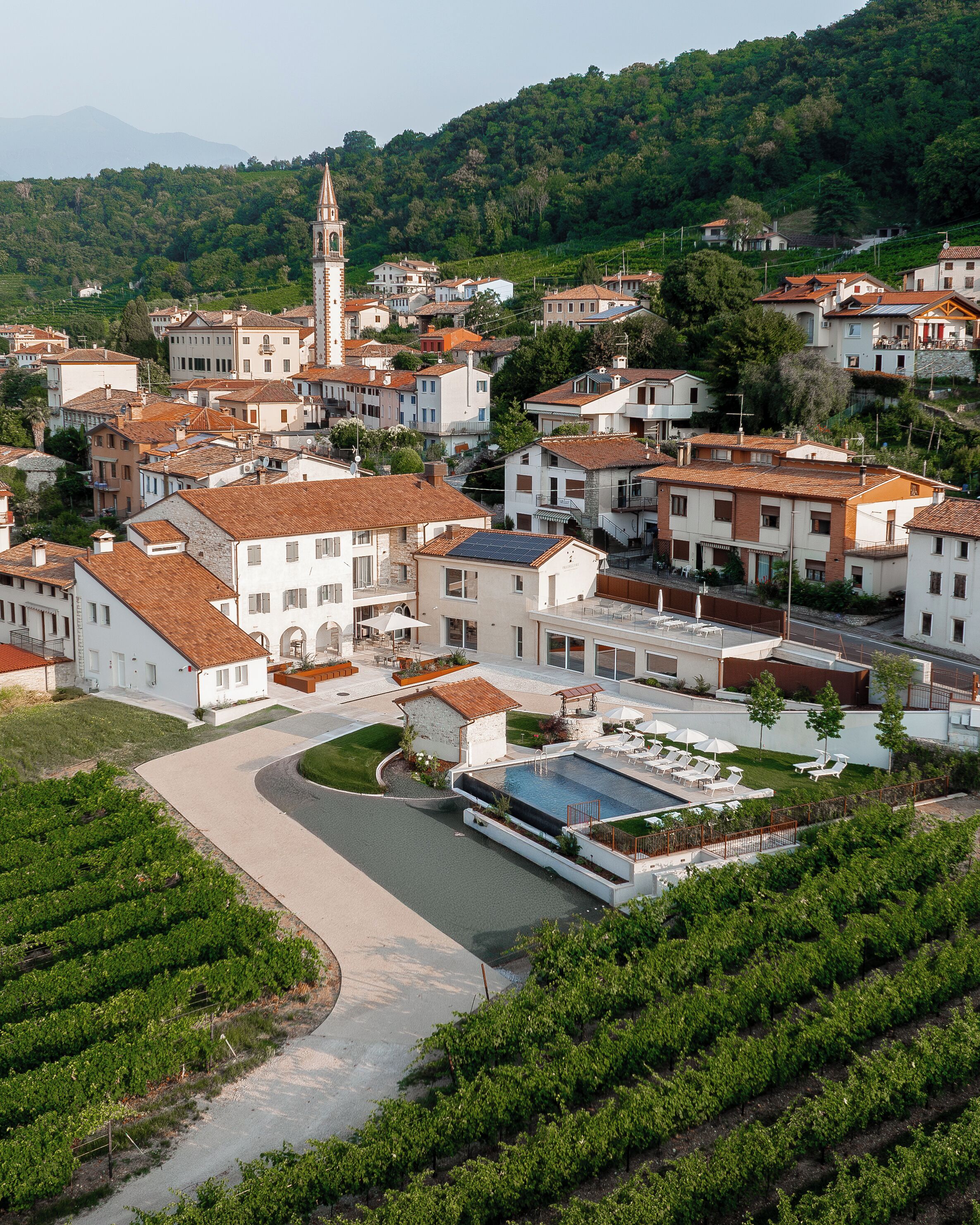 A vineyard with rows of grapevines, a central pool, and surrounding buildings with a church tower.