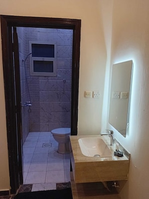 A bathroom with a toilet, a sink, a mirror, and a shower area.