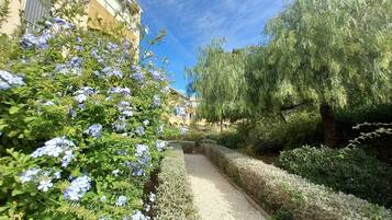 Terrein van de accommodatie