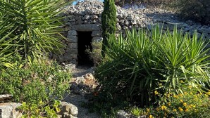 A garden with a stone pathway, various plants, and a stone structure. - Traditional stone house for rent in Crete in a quiet location (Vamos)