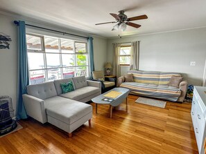 Smart TV, DVD player, video library