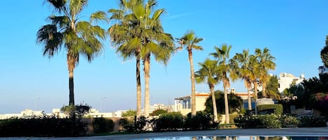 Apartamento | 1 quarto