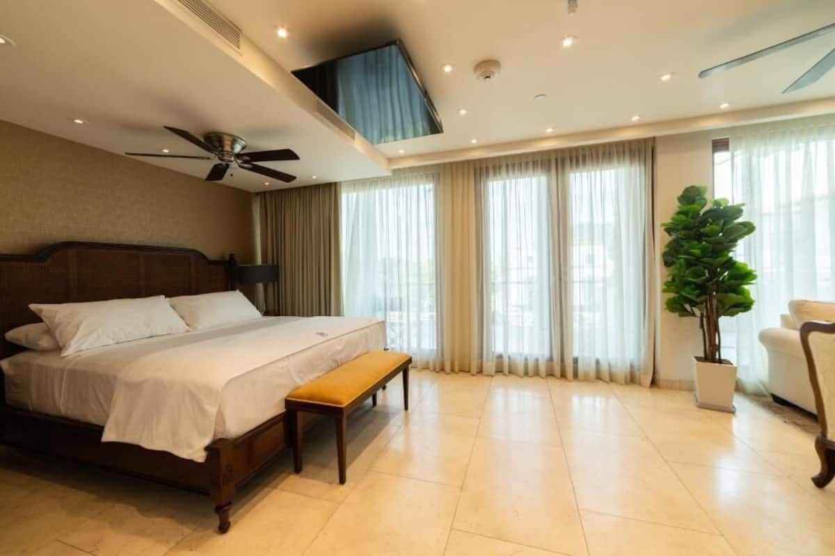 A hotel room with a large bed, a ceiling fan, a potted plant, and a view of the city through large windows.