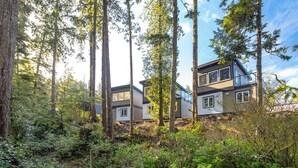 A modern house surrounded by tall trees and dense foliage. - SS#5-Shortboarder-Spring Cove View, Sauna, Hikes! (Ucluelet)