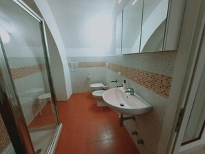 Shower, hair dryer, bidet, toilet paper