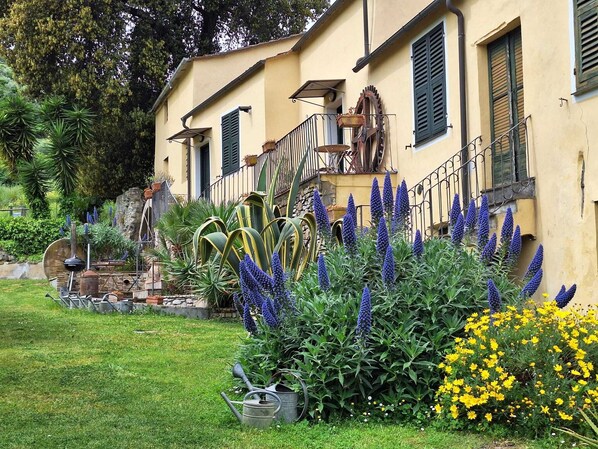 Overnattingsstedets uteområder