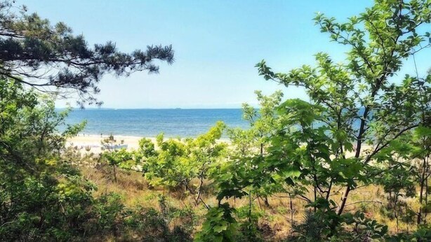 Unclassified image, 1 of 20, button - Apartment in Mrzeżyno near Sandy Beaches (Mrzeżyno)