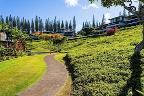 A pathway leading to a hillside with lush greenery and a row of modern buildings.