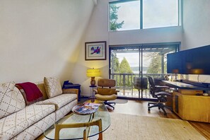 TV, fireplace, books