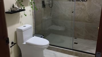 Shower, towels, soap, toilet paper