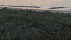 Un atardecer sobre un mar tranquilo, con una costa lejana y un primer plano con hierba.