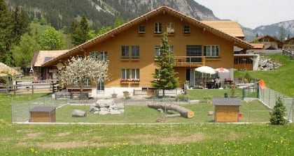 Appartement de vacances Schwenden im Diemtigtal pour 1 - 5 personnes avec 2 chambres Ă coucher - Fer