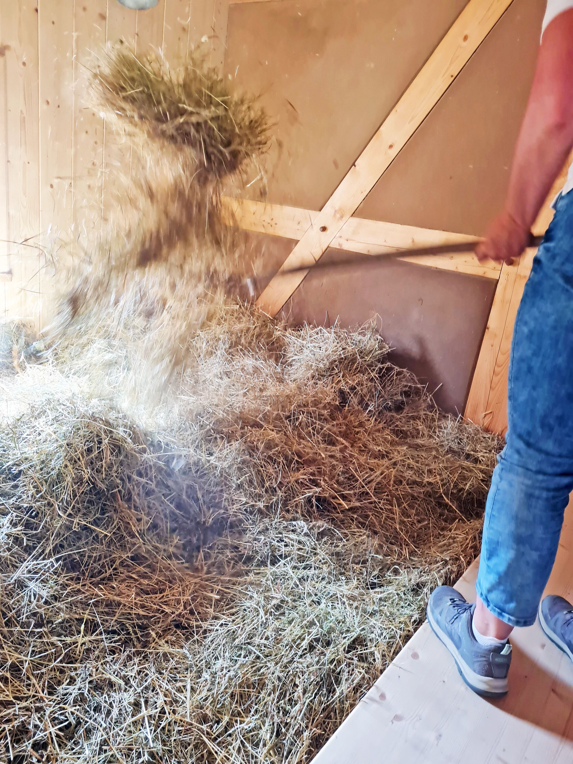 Eine Person steht auf einer Holzplattform in einer stallartigen Struktur, mit Stroh auf dem Boden verteilt.
