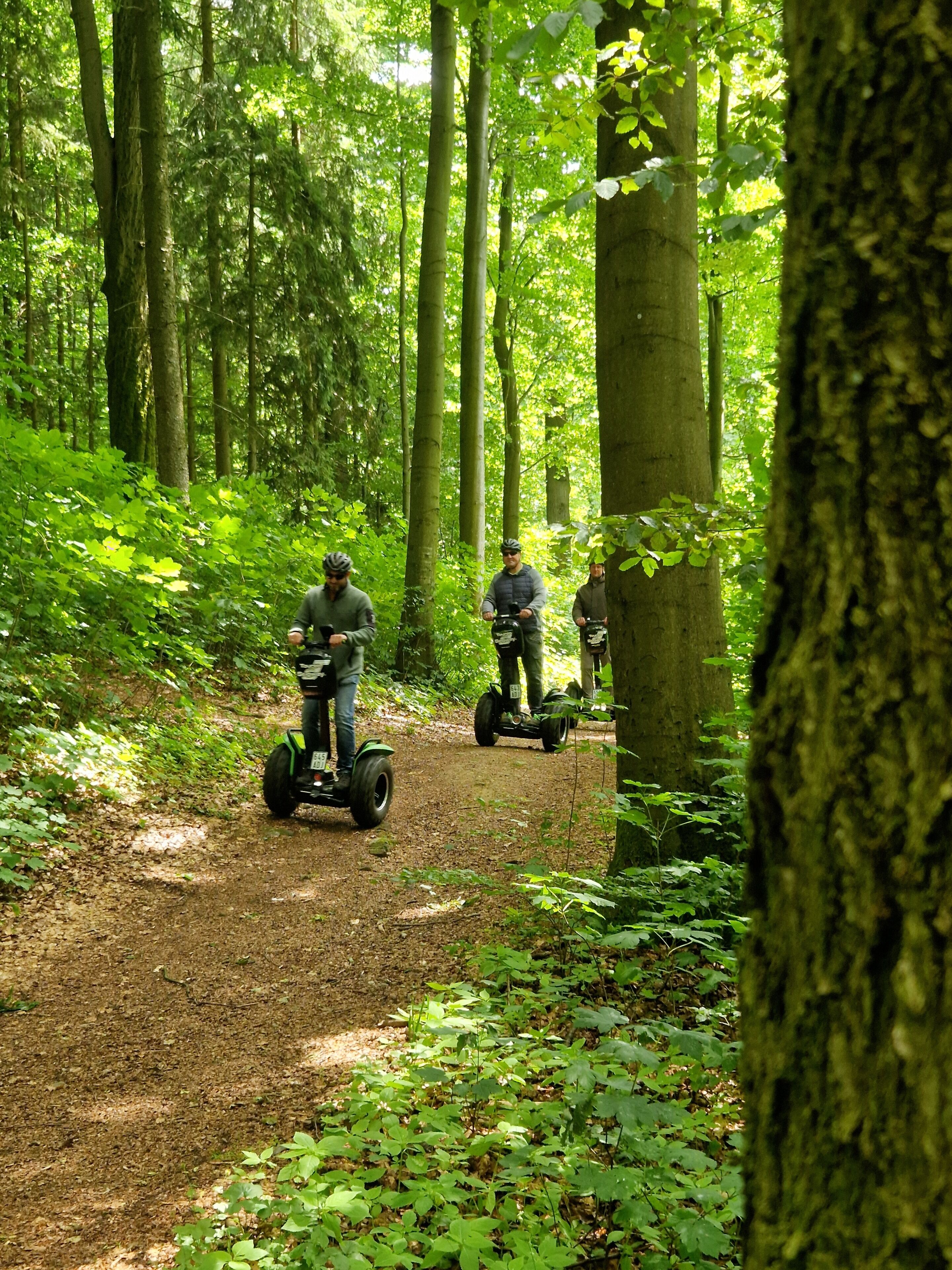 Tour segway