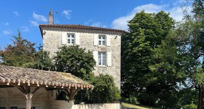 Private swimming pool - Charming Quercy stone house